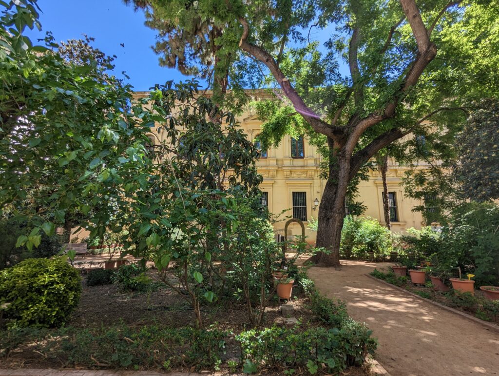 Edificio de la Universidad Literaria de Granada (Distrito Único Andaluz)