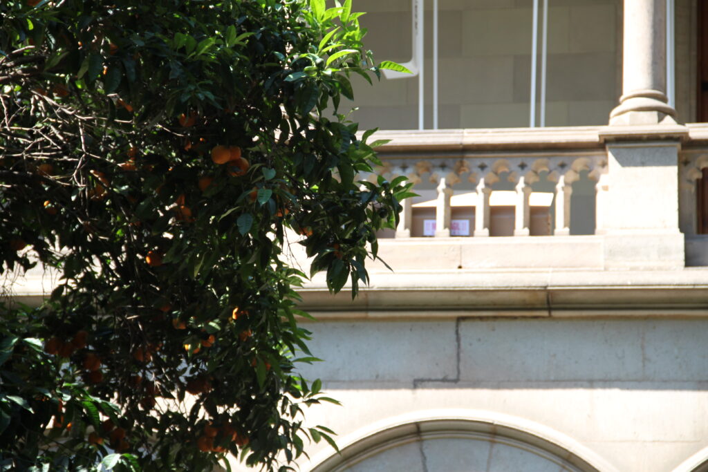 Edifici Històric de la Universitat de Barcelona, sede coordinadora de la PAU Cataluña